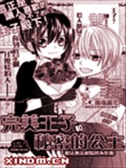 完美王子和秘密的公主,完美王子和秘密的公主漫画