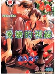 爱恋的视线,爱恋的视线漫画
