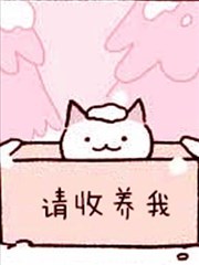 不可思议的猫咪 小九,不可思议的猫咪 小九漫画