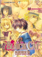 黑猫,黑猫漫画