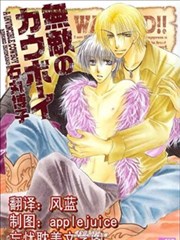 无敌的牛仔,无敌的牛仔漫画